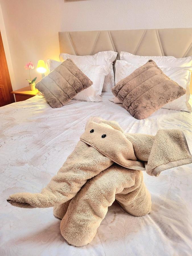 Sea Breeze Apartament Беникарло Экстерьер фото
